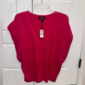 NWT Express v neck short sleeve sweater